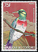 Anjouan Sunbird Cinnyris comorensis  1978 Birds 