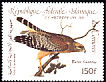 Red-shouldered Hawk Buteo lineatus  1985 Audubon 