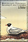 Franklin's Gull Leucophaeus pipixcan  1998 Marine life 9v sheet