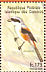 Long-tailed Shrike Lanius schach  1998 Birds Sheet