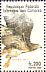 Red-tailed Hawk Buteo jamaicensis  1998 Birds of prey Sheet