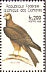 Black Kite Milvus migrans