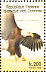 Bald Eagle Haliaeetus leucocephalus  1998 Birds of prey Sheet