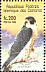 Peregrine Falcon Falco peregrinus