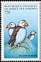 Atlantic Puffin Fratercula arctica  1999 Birds 