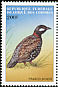 Black Francolin Francolinus francolinus  1999 Birds 