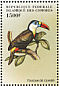 White-throated Toucan Ramphastos tucanus