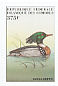 Red-breasted Merganser Mergus serrator  1999 Waterbirds Sheet