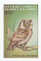 Boreal Owl Aegolius funereus  1999 Birds of prey Sheet