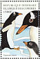 Gentoo Penguin Pygoscelis papua  1999 Fauna and flora  MS MS