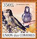 Comoros Black Parrot Coracopsis sibilans  2009 Parrots Sheet