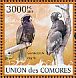 Comoros Black Parrot Coracopsis sibilans  2009 Parrots  MS