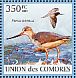 Terek Sandpiper Xenus cinereus  2009 Wading birds Sheet