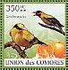 Black-naped Oriole Oriolus chinensis  2009 Orioles Sheet