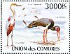 Goliath Heron Ardea goliath  2009 Indian Ocean birds  MS