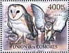 Western Barn Owl Tyto alba  2011 Owls, Philanippon Sheet