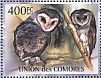 Lesser Sooty Owl  Tyto multipunctata