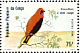 Black-winged Red Bishop Euplectes hordeaceus