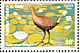 Common Moorhen Gallinula chloropus  1980 Birds Sheet