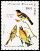 Black-headed Grosbeak Pheucticus melanocephalus  1985 Audubon 