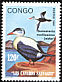 Common Eider Somateria mollissima  1991 Wild ducks 