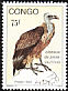 Rüppell's Vulture Gyps rueppelli