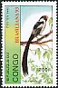 Pin-tailed Whydah Vidua macroura