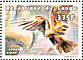 Western Marsh Harrier Circus aeruginosus  1999 Raptors Sheet