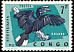 Black-casqued Hornbill Ceratogymna atrata  1963 Protected birds 