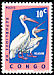 Great White Pelican Pelecanus onocrotalus