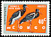Abdim's Stork Ciconia abdimii  1963 Protected birds 