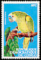 Turquoise-fronted Amazon Amazona aestiva  2000 Parrots 
