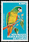 Red-shouldered Macaw Diopsittaca nobilis  2000 Parrots 