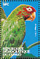 Mitred Parakeet Psittacara mitratus