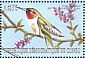 Ruby-throated Hummingbird Archilochus colubris  2000 Hummingbirds Sheet