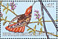 Ruby-topaz Hummingbird Chrysolampis mosquitus  2000 Hummingbirds Sheet