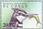 Pied Kingfisher Ceryle rudis  2000 Birds of Congo  MS MS