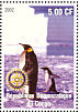 Emperor Penguin  Aptenodytes forsteri