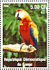 Scarlet Macaw  Ara macao