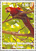 Scarlet Macaw Ara macao