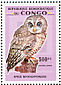 African Wood Owl Strix woodfordii