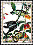 Downy Woodpecker Dryobates pubescens  1985 Audubon 
