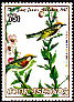 Chestnut-sided Warbler Setophaga pensylvanica  1985 Audubon 