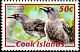 Rarotonga Starling Aplonis cinerascens  2007 Wildlife 26v set