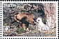 Booted Eagle Hieraaetus pennatus  2018 Birds of prey White frames