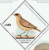 Clay-colored Thrush Turdus grayi