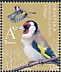 European Goldfinch Carduelis carduelis