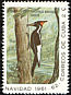 Ivory-billed Woodpecker Campephilus principalis