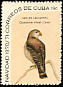 Cuban Kite Chondrohierax wilsonii  1970 Christmas 