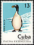 Great Auk Pinguinus impennis �